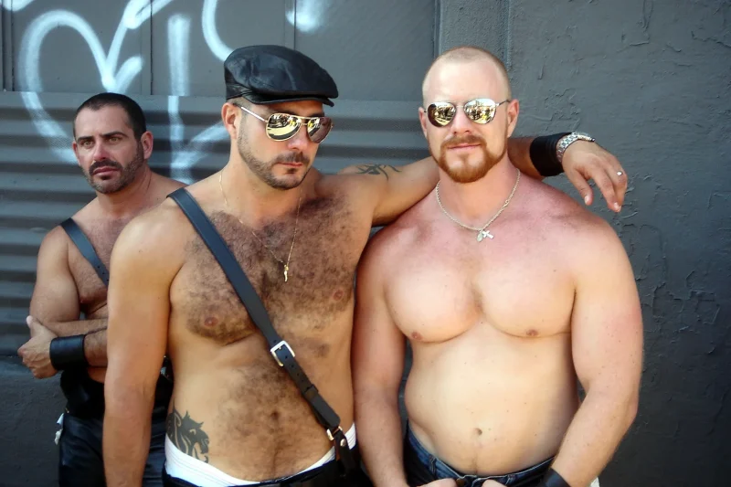 Folsom Street Fair (2006)