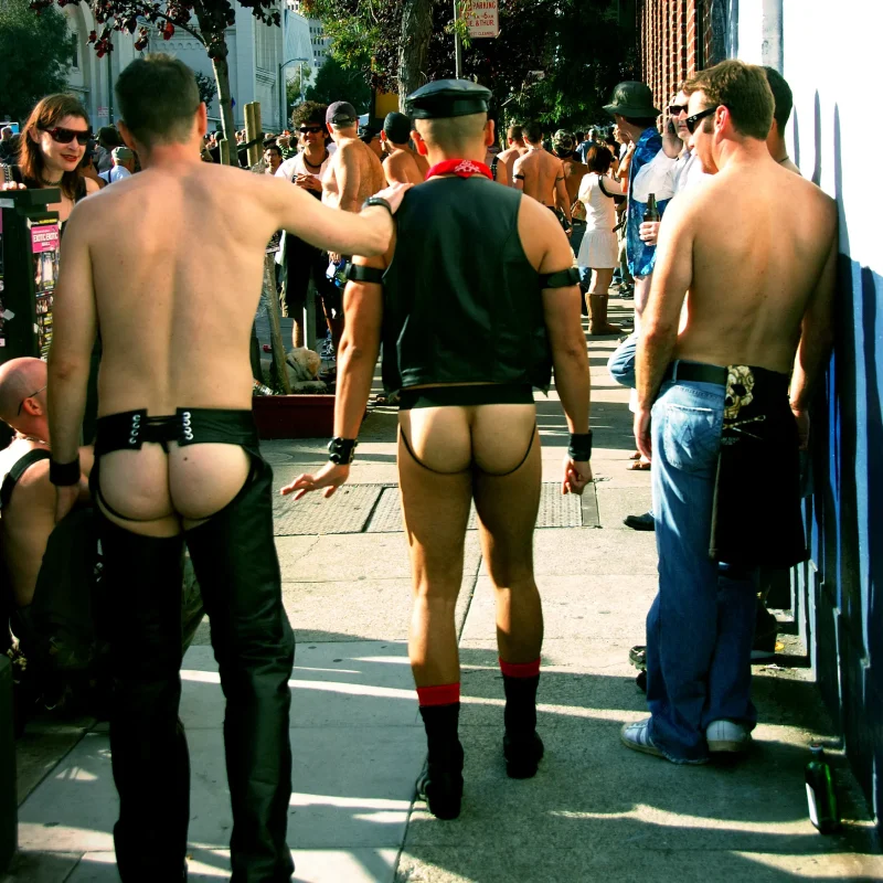 Folsom Street Fair (2007)