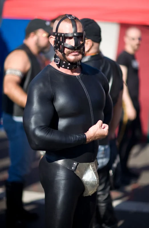Folsom Street Fair (2008)