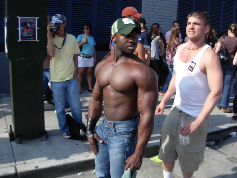 Folsom Street Fair (2009)