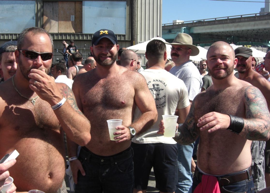 Hairrison Street Fair (2008)