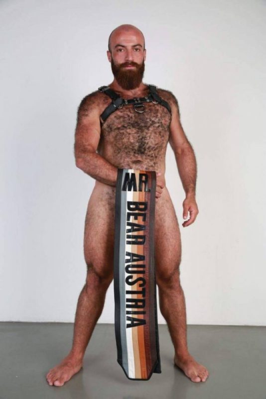 Mr. Bear Austria (Gabriel Yalda)