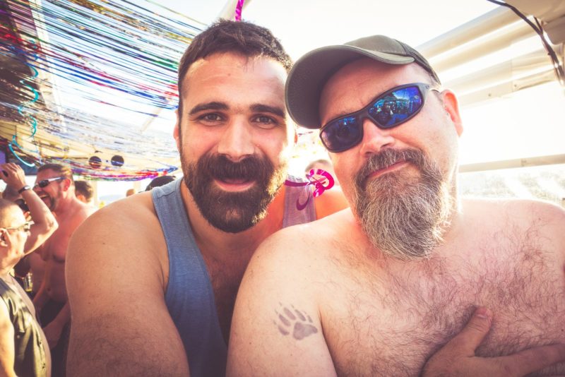 Bears on Board