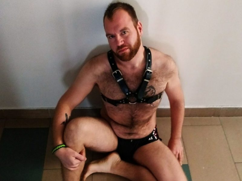 Mr. Bear Hungary (2018), Levi (Magnum Szauna)