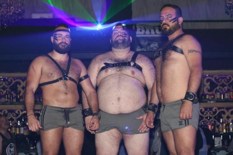 Bear Carnival