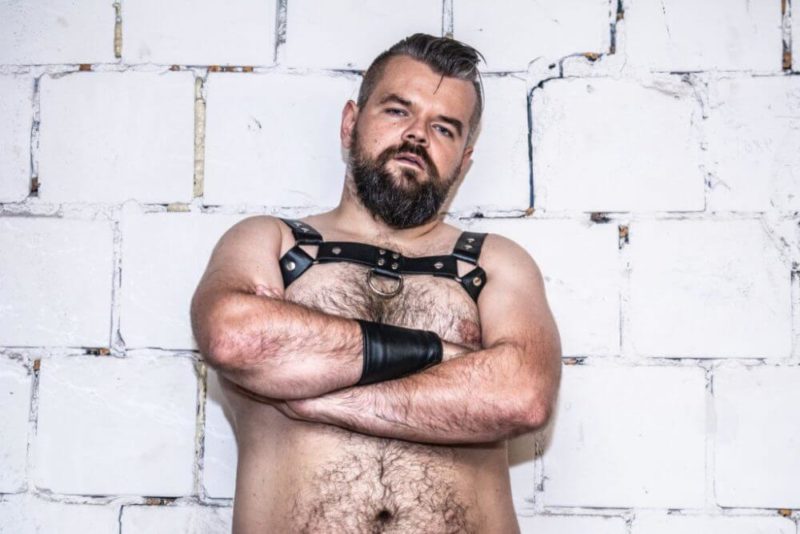 Mr. Bear Poland