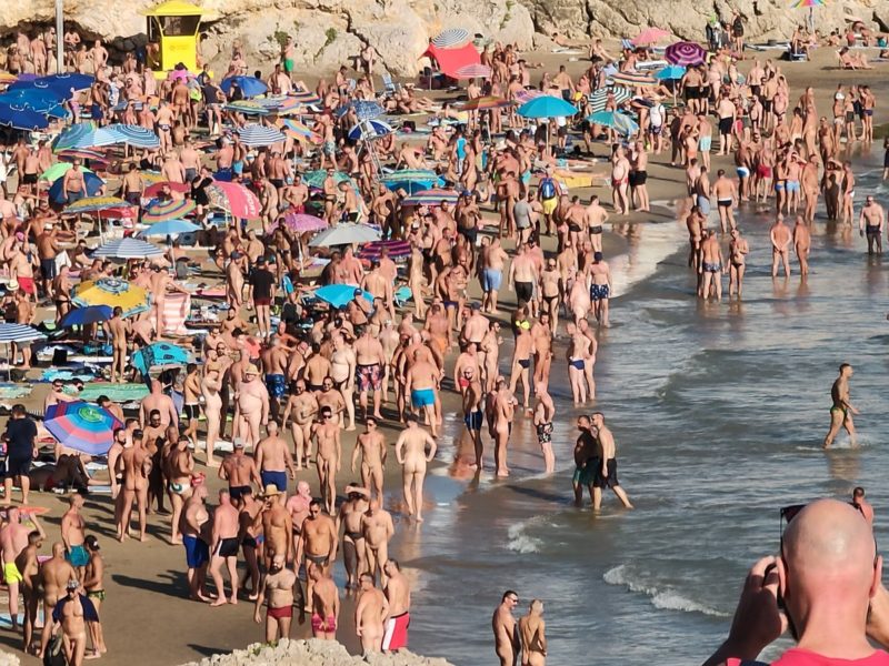 SITGES BEAR WEEK (2019)